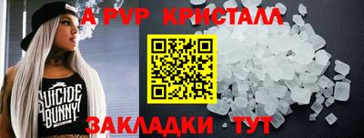 гашик Тара