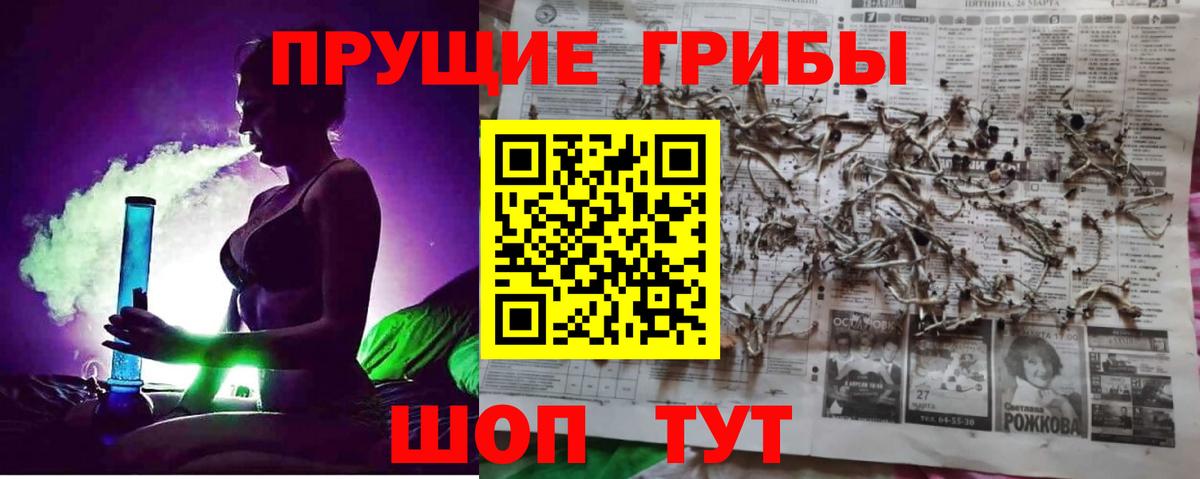 Нальчик  Псилоцибиновые грибы мицелий  Вход с VPN 